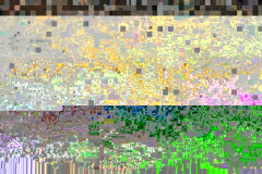 VLC crash glitch capture 0001