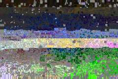 VLC crash glitch capture 0002