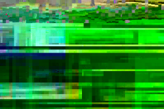 VLC crash glitch capture 0275